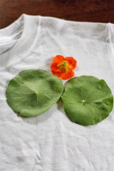 Pounded_Leaf_and_Flower_Prints3