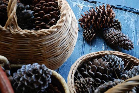 Scented_Pine_cone_Fire_Starters Scented_Pine_cone_Fire_Starters