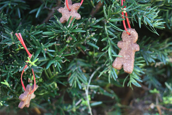 Applesauce_Ornaments_with_Cookie_Cutters
