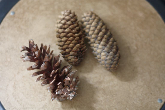 Gold_Pinecone_Ornaments2