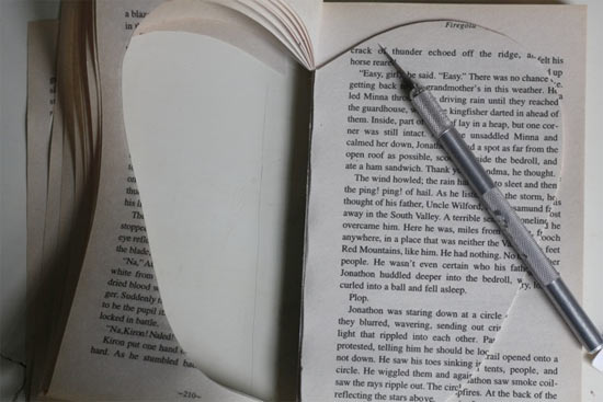 Apple_Book4