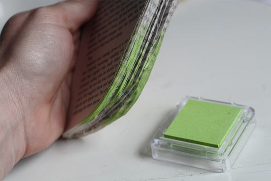 Apple_Book5