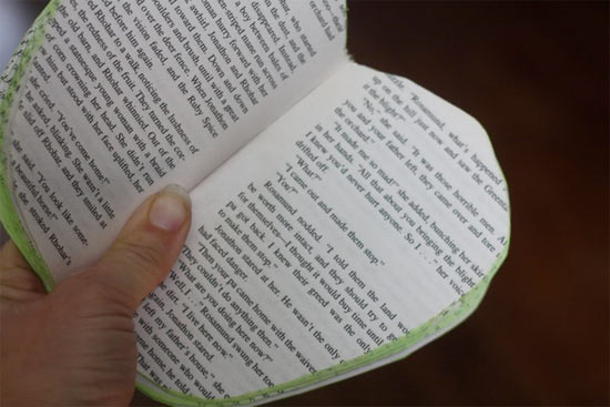 Apple_Book6