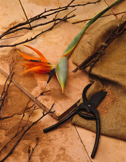 twig_vase