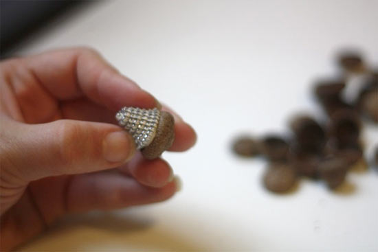 Zipper_Acorns5