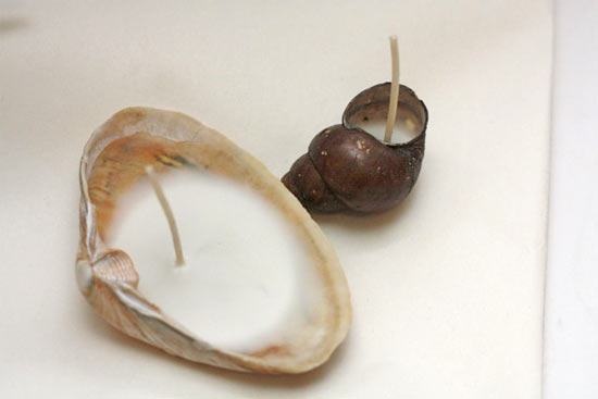 DIY_Seashell_Candles4