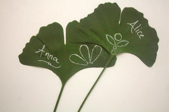 Summer_Leaf_Placecards