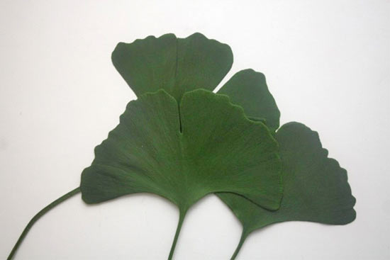 Summer_Leaf_Placecards2