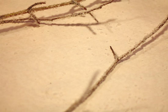 DIY_Frosted_Branches3