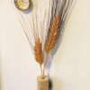 Magnetic_Cork_Budvase