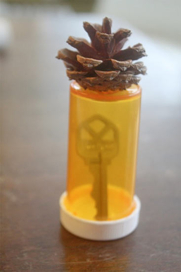 Pinecone_Hide_a_Key