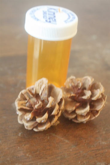 Pinecone_Hide_a_Key2