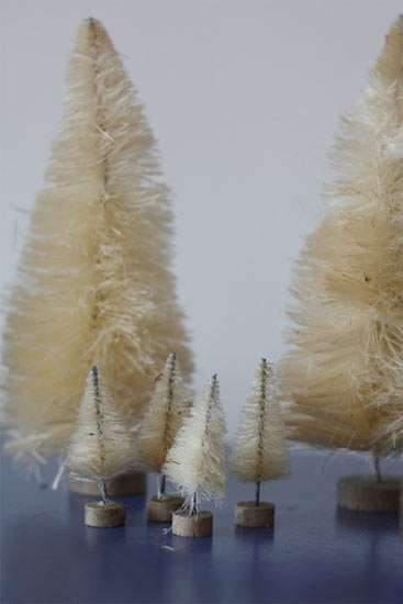 Bleached_Bottle_Brush_Trees