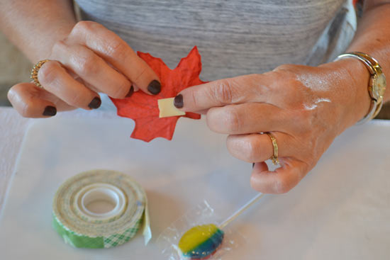 Decorative_Festive_Fall_Suckers3