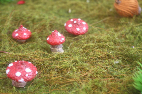 Acorn_Cap_Fairy_Toadstools