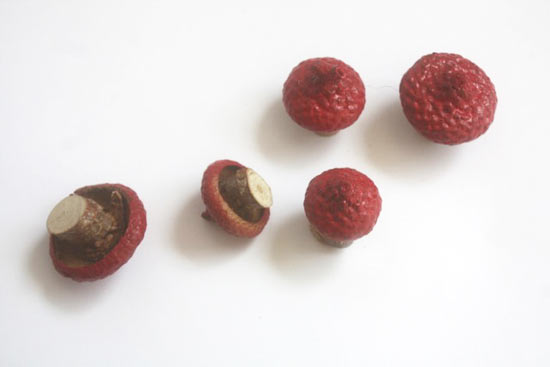 Acorn_Cap_Fairy_Toadstools4
