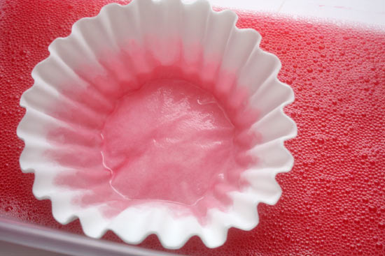 How_to_Dye_Coffee_Filters4