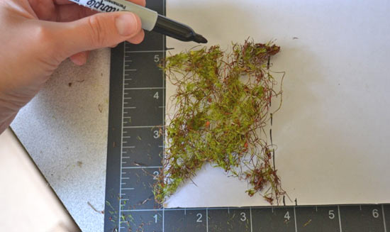 DIY_Moss_Pennant_Banner4