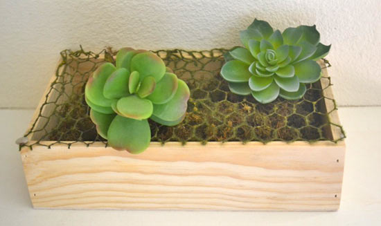 Succulent_Window_Box