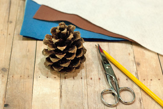 Pinecone_Owl1