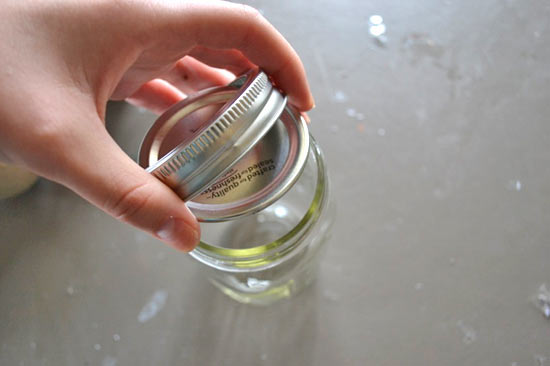Mason_Jar_Winter_Terrarium2