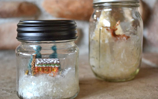 Mason_Jar_Winter_Terrarium6