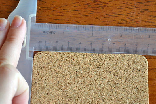 Mountain_Range_Coasters5