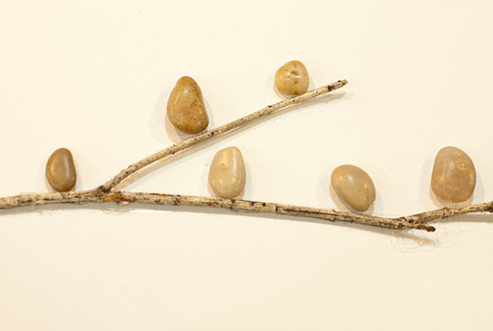 Bird_Pebble_Art_Tutorial3