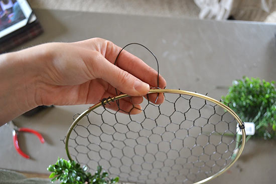 DIY_Chicken_Wire_Frame_Display5