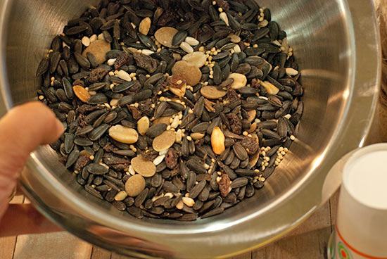 Homemade_Bird_Feeder_Tutorial2