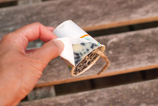 Homemade_Bird_Feeder_Tutorial8