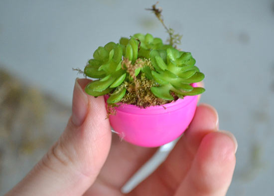Easter_Egg_Succulent_Planters_Tutorial7