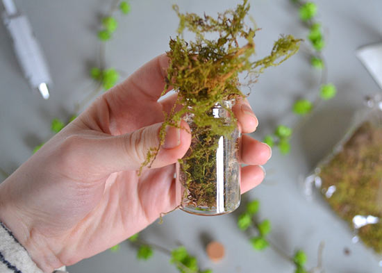 Mini_Terrarium_Magnets_Tutorial3