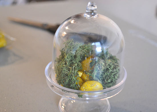 Teeny_Fairy_Garden_Terrarium_Tutorial6
