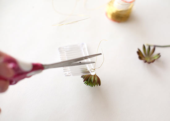 DIY_Succulent_Hair_Combs_Tutorial4