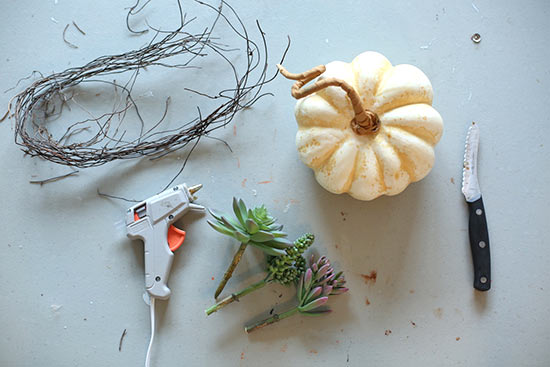 Succulent_Pumpkin_Planter2