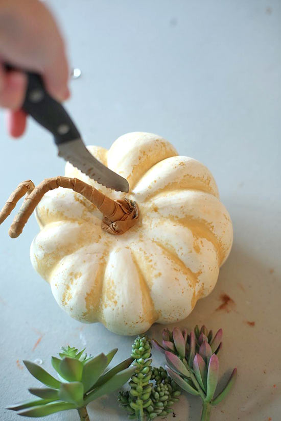 Succulent_Pumpkin_Planter3