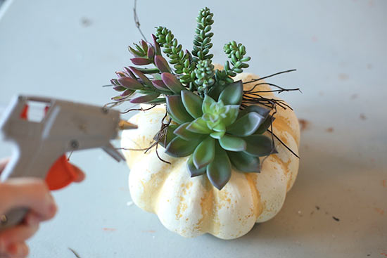 Succulent_Pumpkin_Planter4
