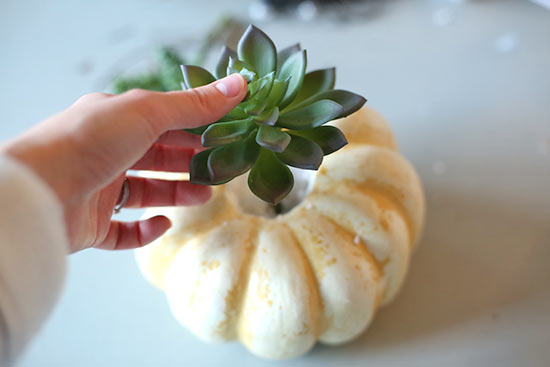 Succulent_Pumpkin_Planter6