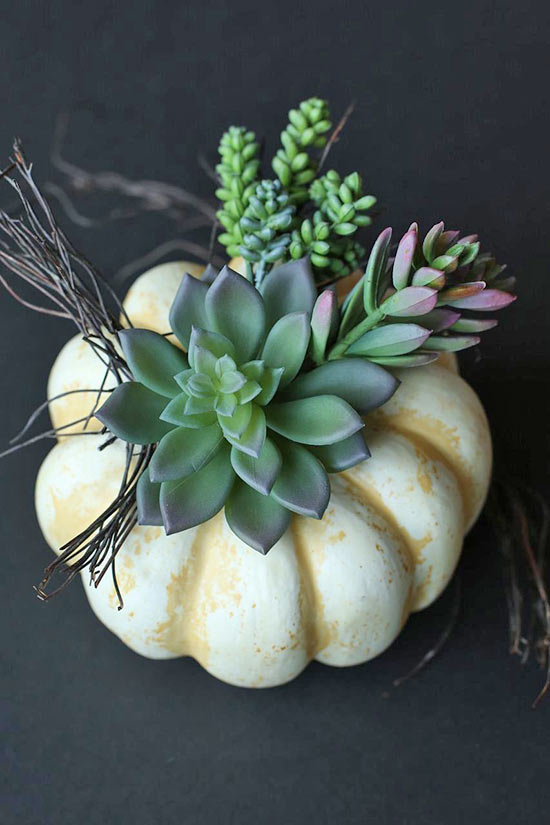 Succulent_Pumpkin_Planter7