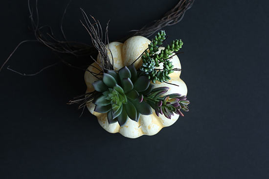 Succulent_Pumpkin_Planter8