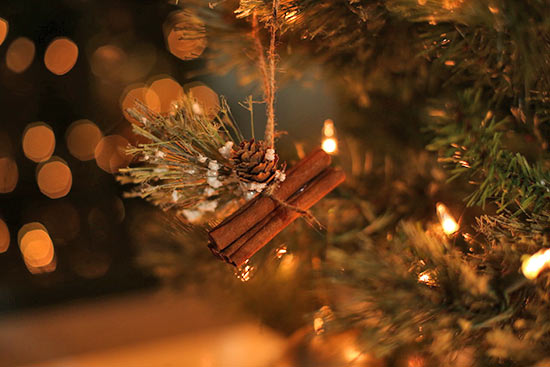 Cinnamon_Stick_Ornament_Tutorial9