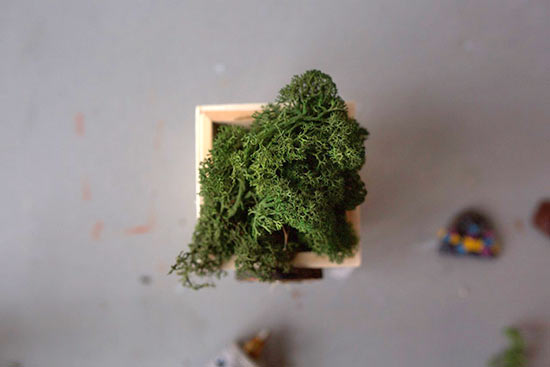 Fairy_Garden_Door_Planter_Tutorial5