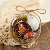 Acrylic Fillable Ornaments