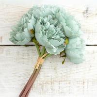 Bushes + Bouquets
