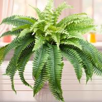Artificial Greenery