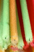 Pipe Cleaners