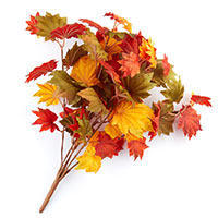 Fall Florals