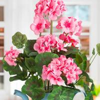 Spring + Summer Flowers