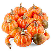 Pumpkins and Gourds